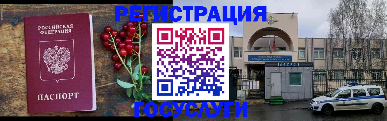 прописка 2025 в Александровске